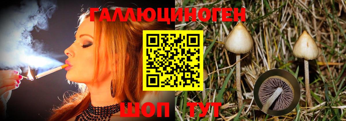 Псилоцибиновые грибы ЛСД  Галлюциногенные грибы Psilocybe  Тельмана  Вход с VPN 